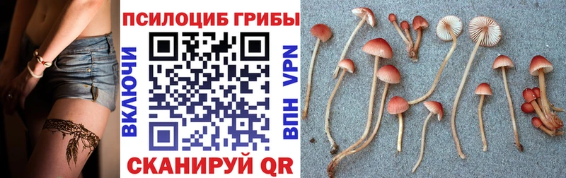 Галлюциногенные грибы мухоморы  цены   Разумное 